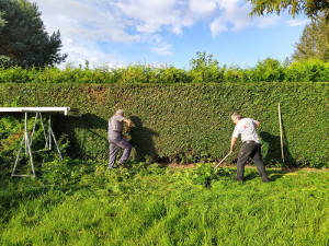 Hecken schneiden