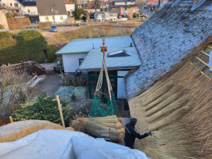 Aktuelles Projekt Reetdach