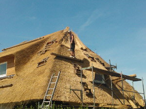 Archiv BvReetd&auml;cher Belgien