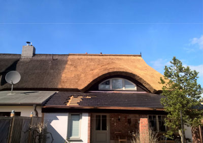 Saniertes Reetdach