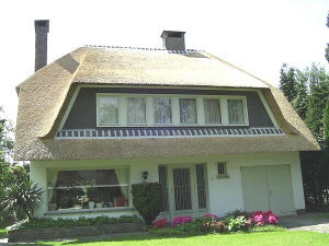 Bv Reetdacher Belgien