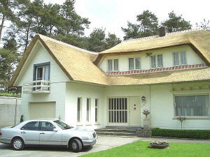 Bv Reetdacher Belgien