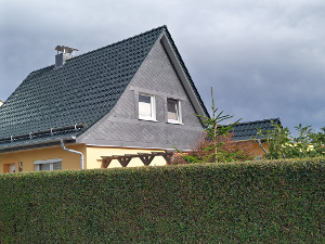 Dachziegel Rubin 13V Tanne