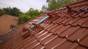 Dachausstieg mit Laufanlage